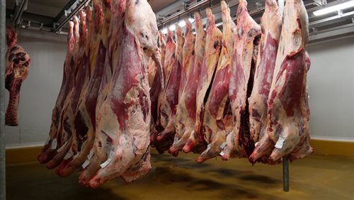 Entreprise Cadars, une filiale du Groupe Unicor, viande en gros et demi-gros