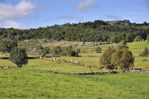 Entreprise Cadars à Rodez en Aveyron, spécialiste du commerce de gros et demi-gros de viande de boeuf, veau, agneau et porc