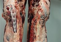 Carcasse d'une vache primée à Baraqueville (Grand Prix d'Excellence) sélectionnée et achetée par nos soins à la demande d'un client