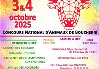Programme complet du FESTIBOEUF 2025