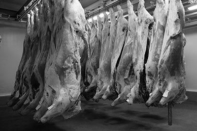 Entreprise Cadars en Aveyron, le spécialistes des viandes en gros et demi-gros