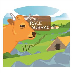 La fine race Aubrac, une marque sélectionnée par Cadars à Rodez en Aveyron